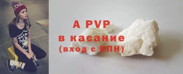 стафф Арсеньев
